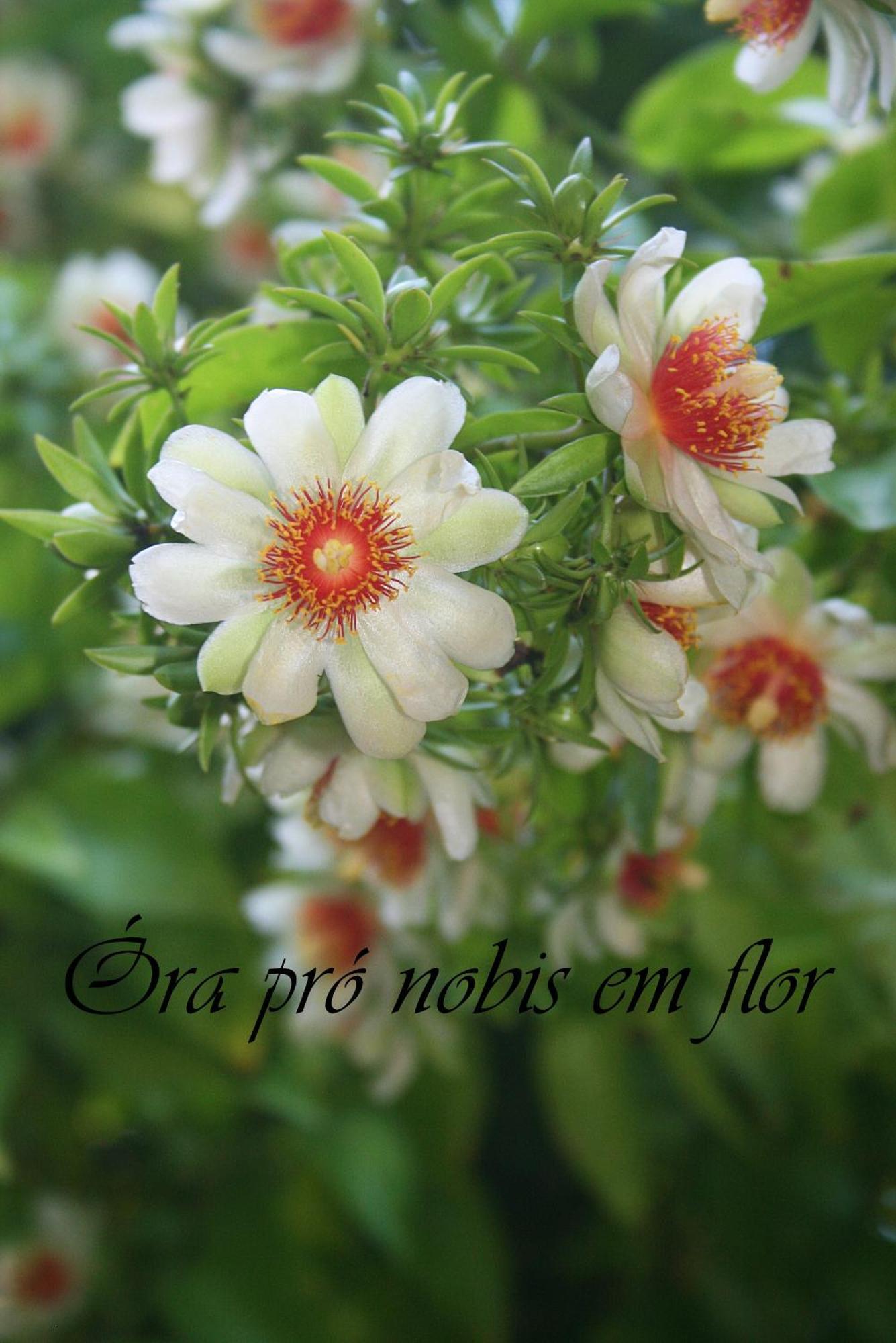 פורטו אלגרה Fora De Casa Guest House Poa מראה חיצוני תמונה